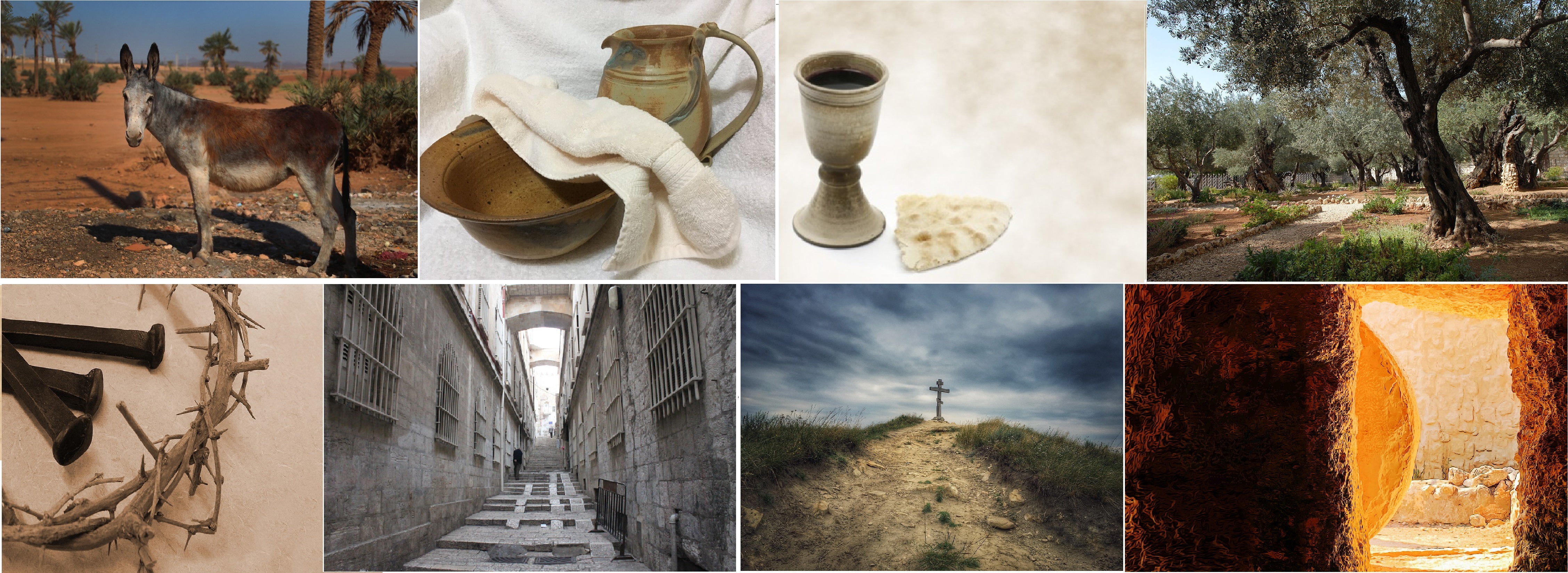 These Easter Days: A Week of New Creation – common or garden theologian